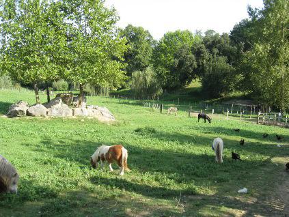 La Ferme Des 4 Chenes Hotel Urt Bagian luar foto